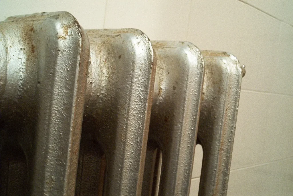 Petek Temizliği Ne Zaman ve Hangi Sıklıkta Tekrar Yapılmalı